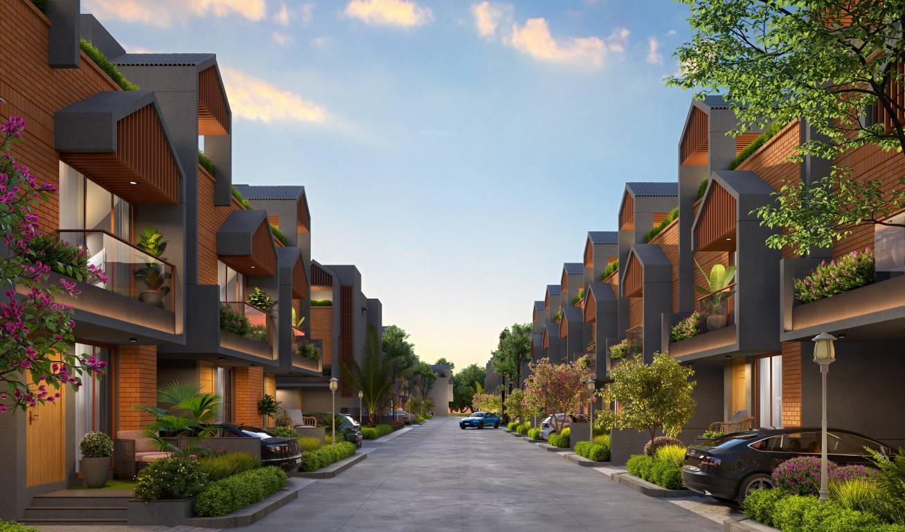 kingsville phase 1 Elevation