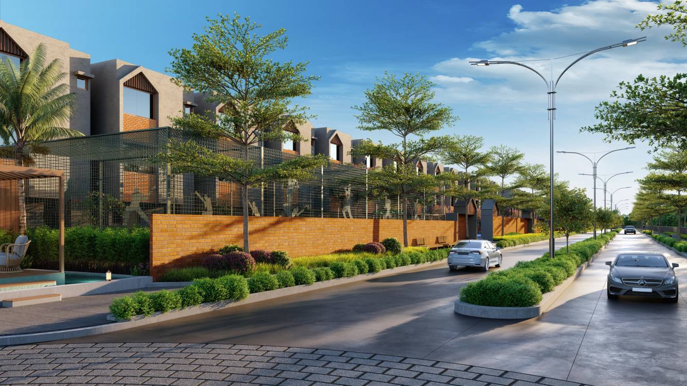 kingsville phase 1 Elevation