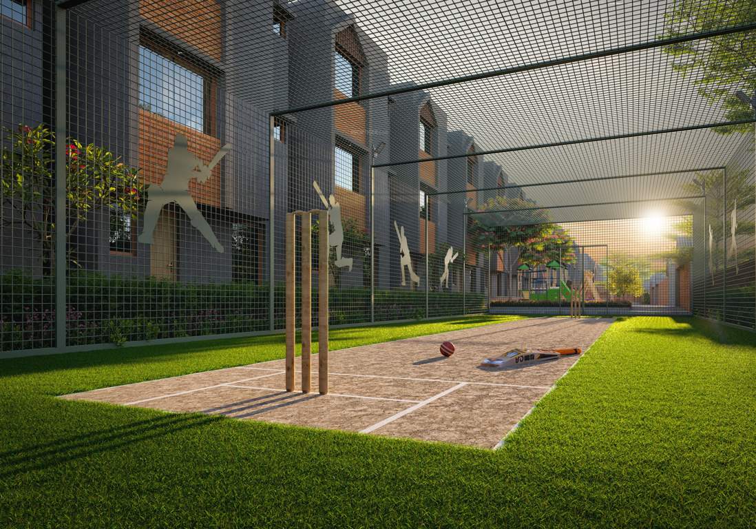 kingsville phase 1 Cricket Pitch