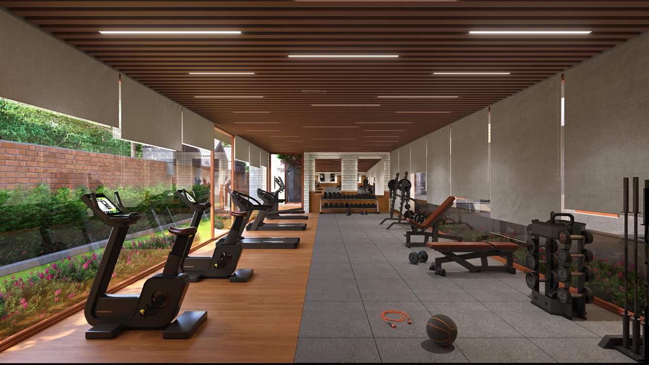 kingsville phase 1 Gymnasium