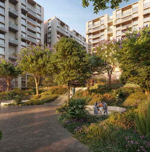  selenic Landscape Garden and Tree Planting