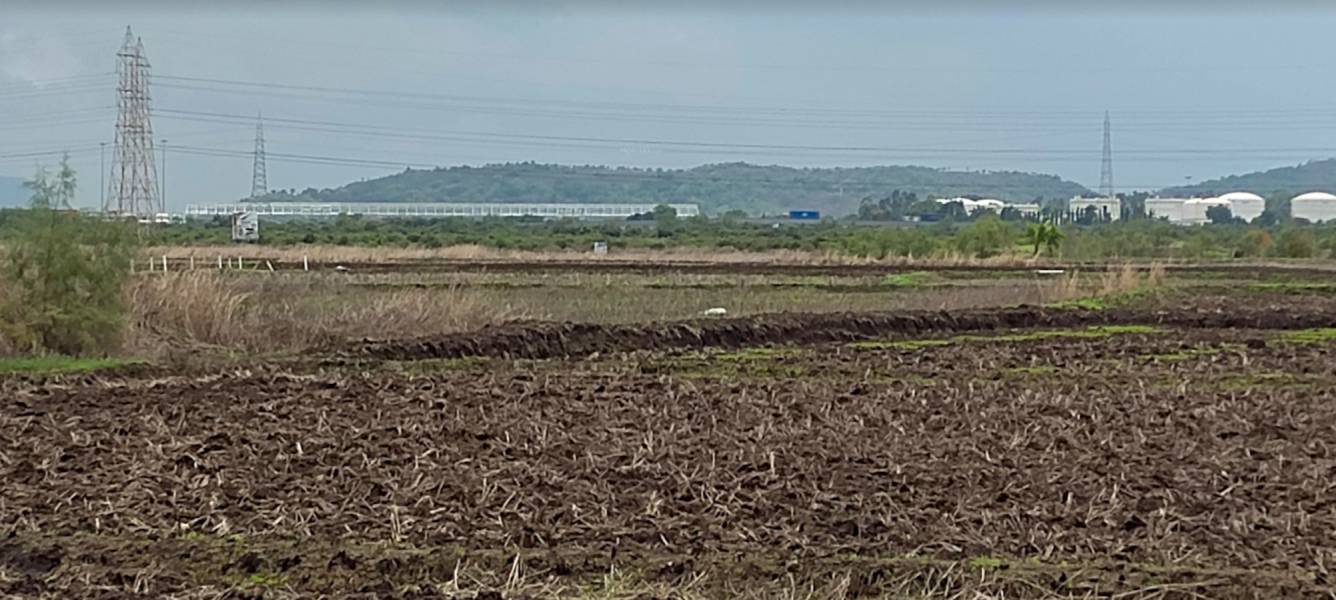  plots in ranjanpada Plot