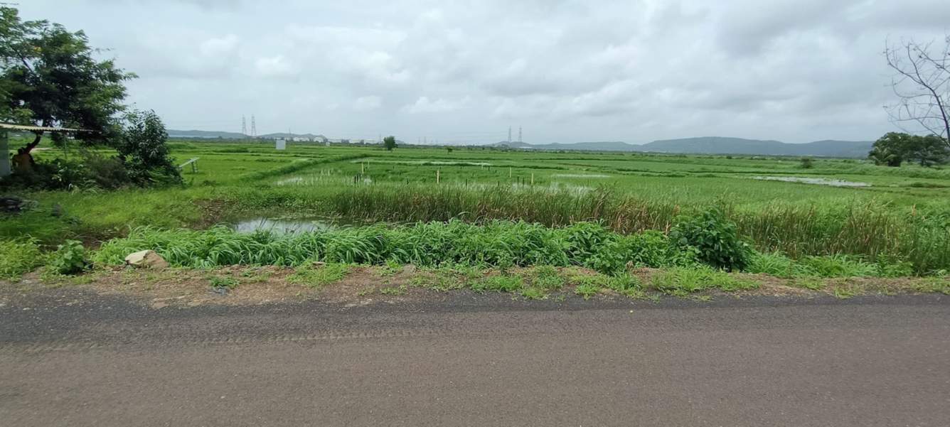  plots in chirle Plot