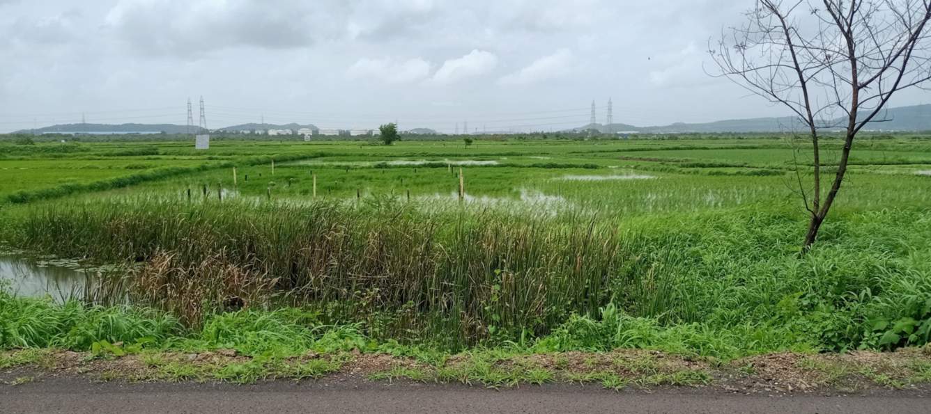  plots in chirle Plot