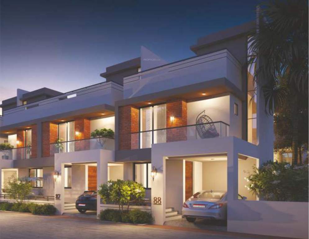  devashay veronica Elevation