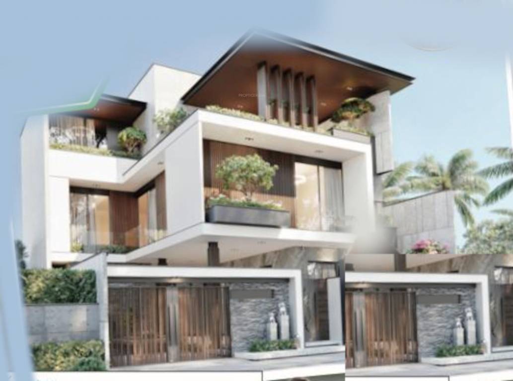 city square Elevation