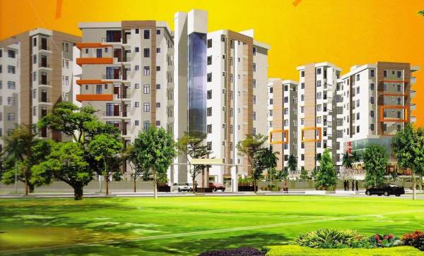  south-city Elevation