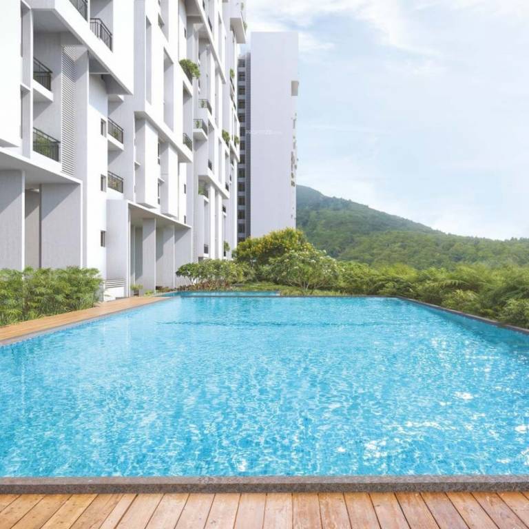  saroha Swimming Pool