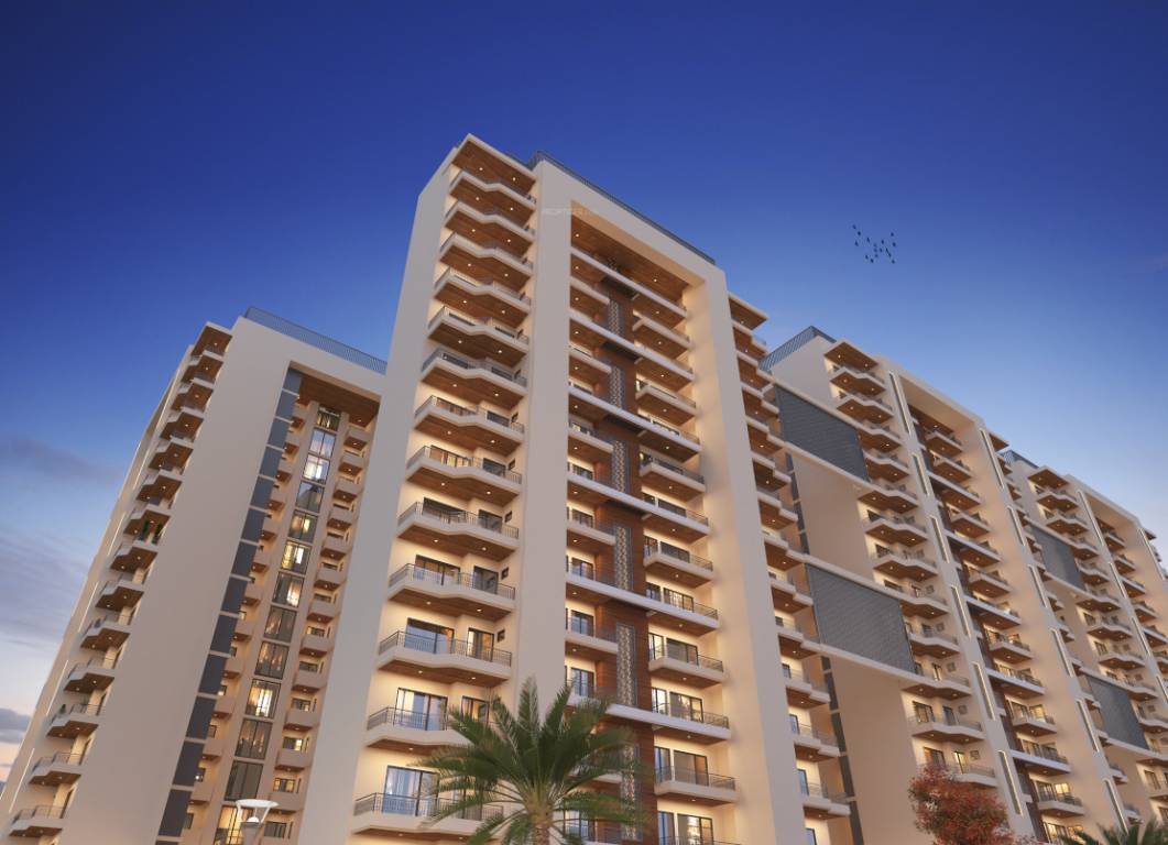  medaalion nova Elevation