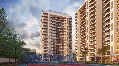 Basketball Court the-medallion-nova Basketball Court