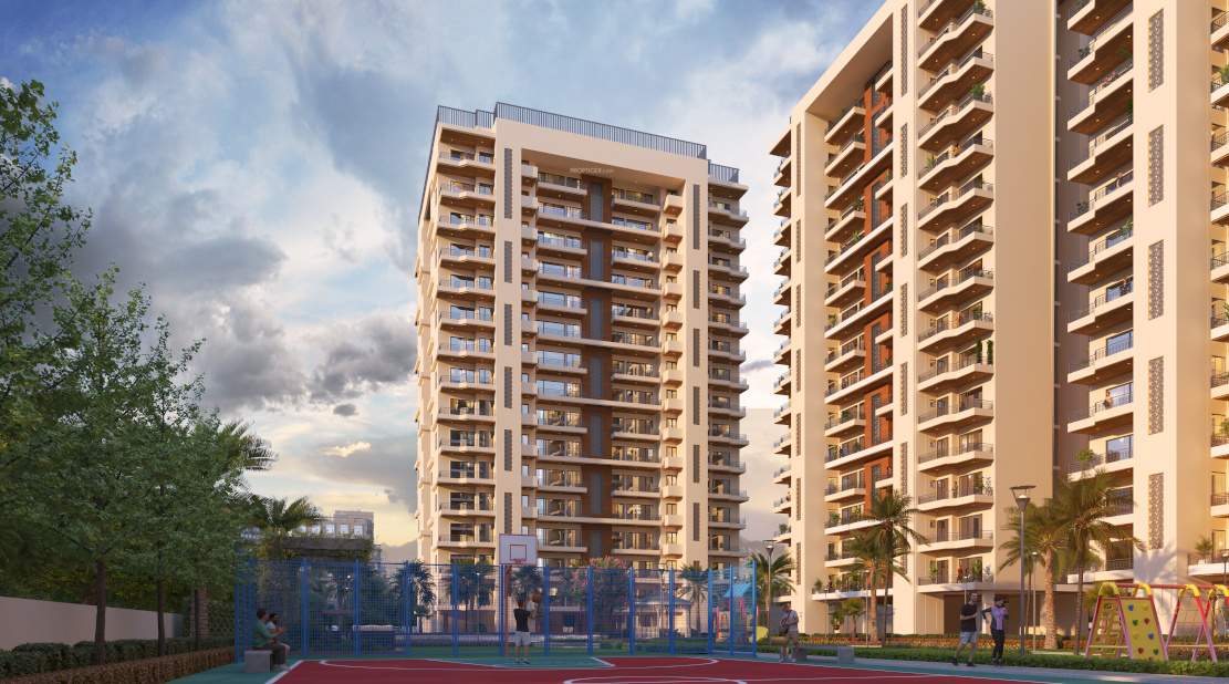  the medallion nova Basketball Court