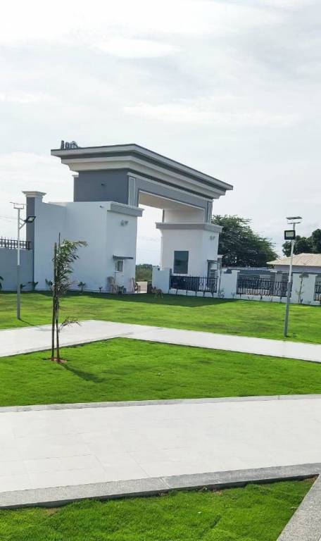 lenora Landscape Garden and Tree Planting