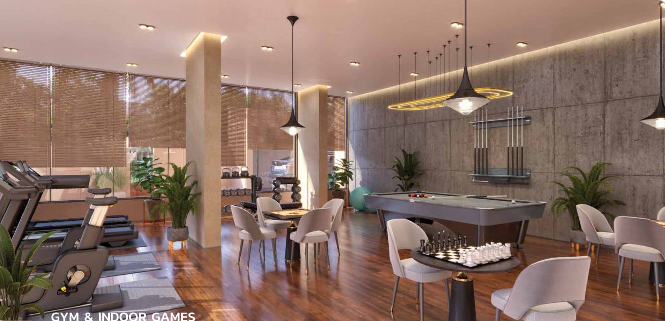  iconic status Gymnasium