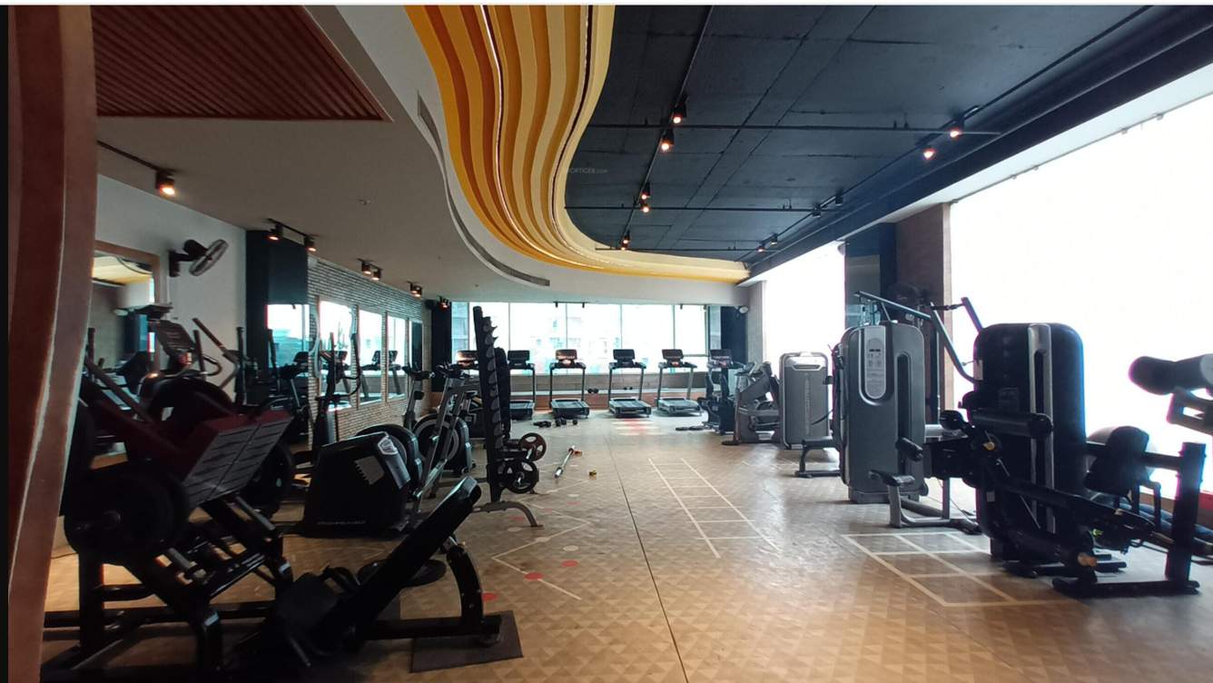 cleo county phase 1 Gymnasium