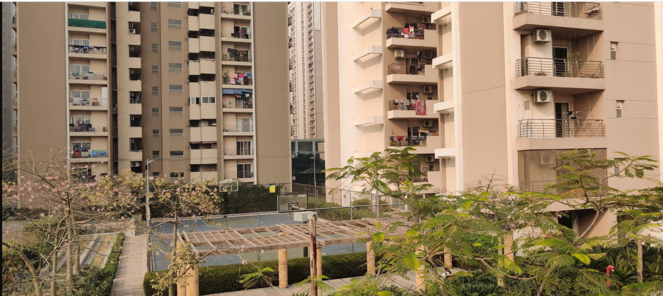 cleo county phase 1 Others