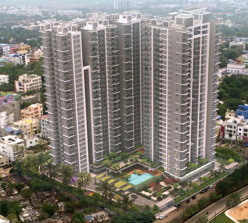  consortium magnum Elevation