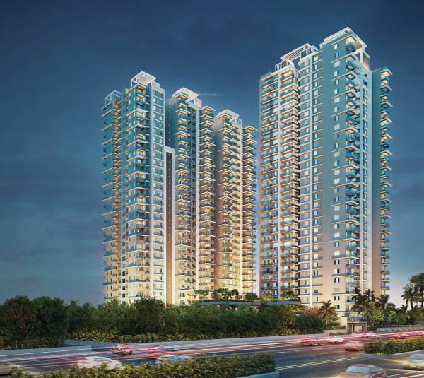 Elevation consortium-magnum Elevation