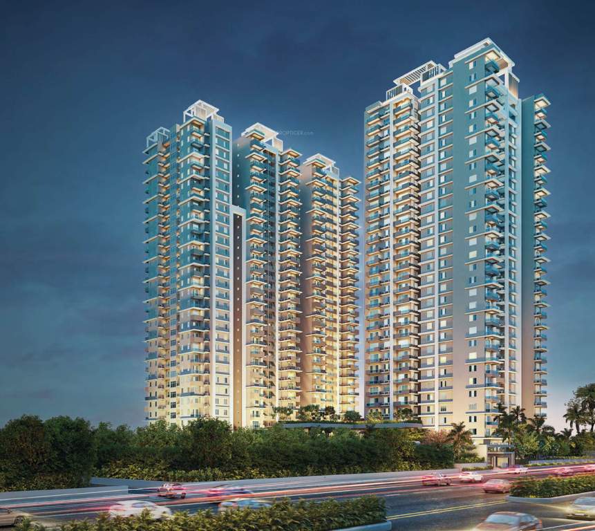  consortium magnum Elevation