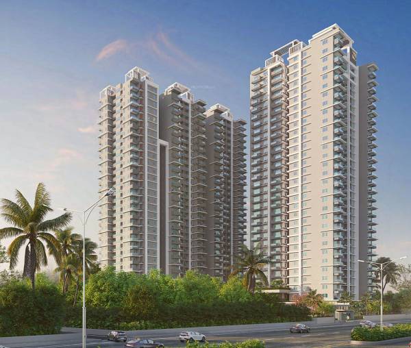  consortium-magnum Elevation