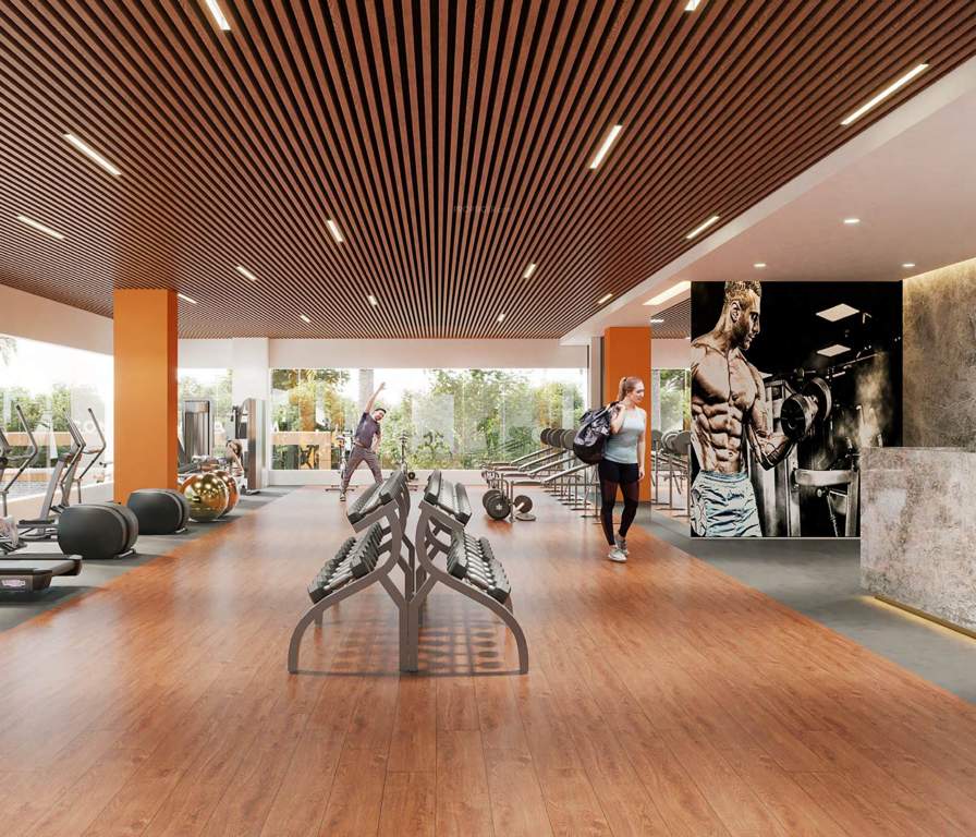  consortium magnum Gymnasium