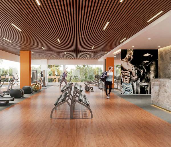 Gymnasium consortium-magnum Gymnasium