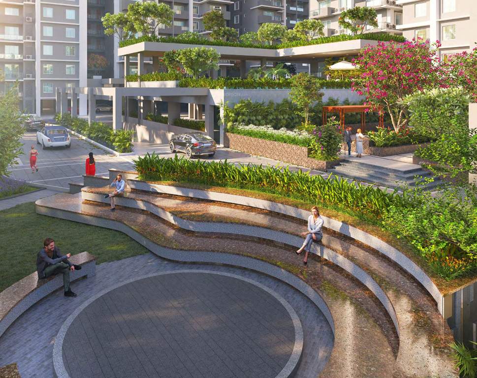  consortium magnum Senior Citizen Sitout