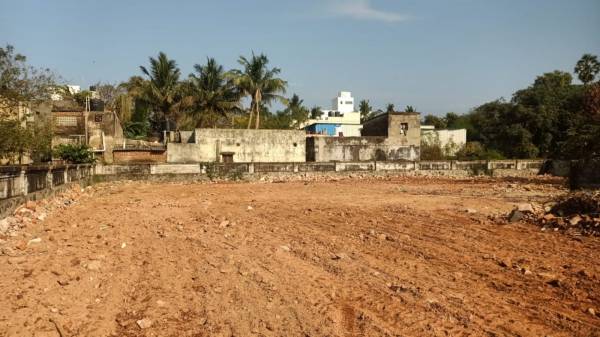 Elevation garden Elevation