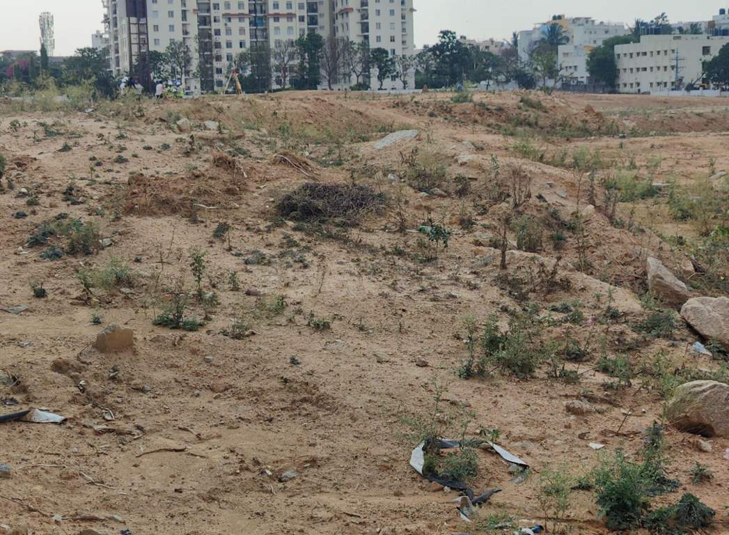 southern star Southern Star Construction Status May 25