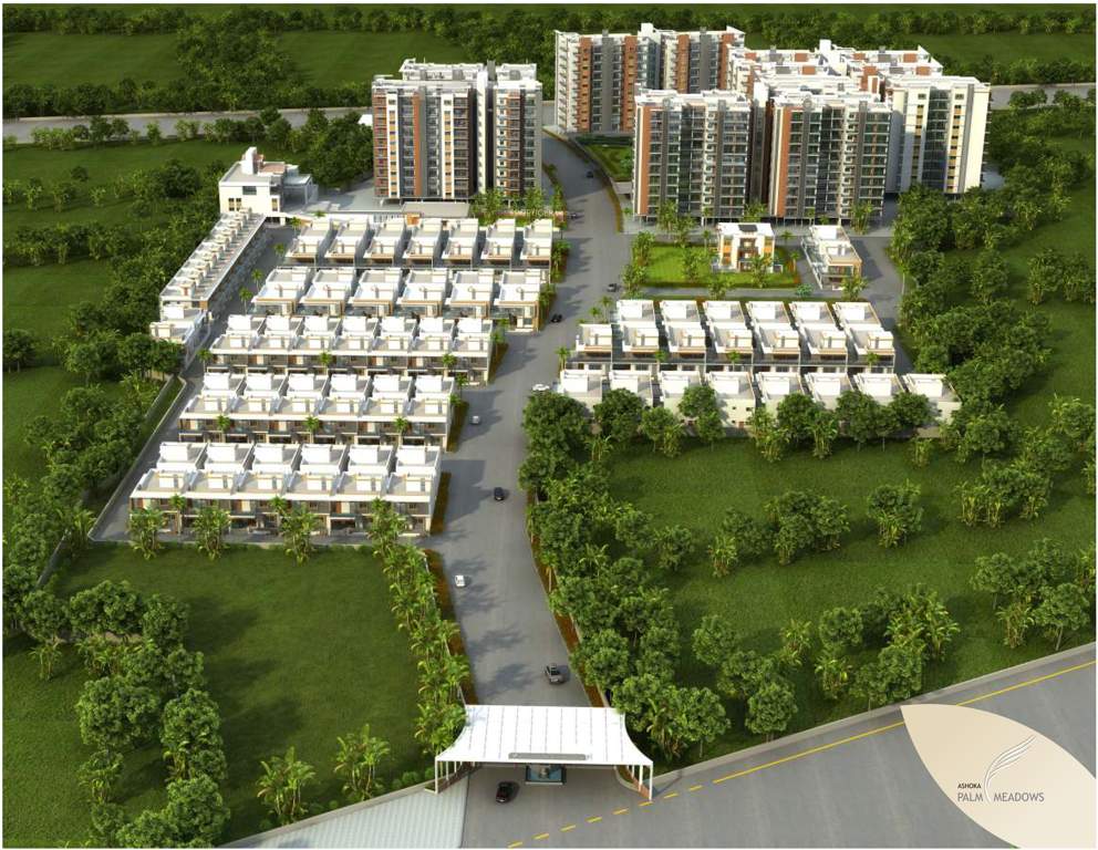  ashoka palm meadows ii Elevation