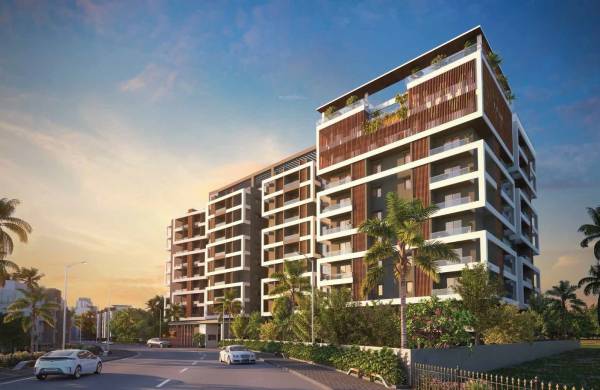  woods-ville Elevation