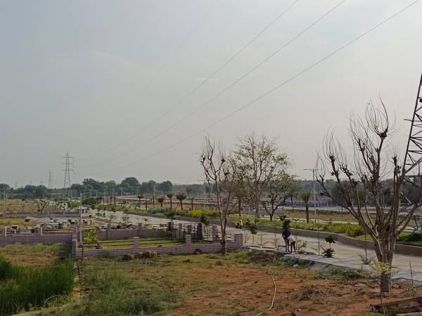  econest-phase-2 Elevation