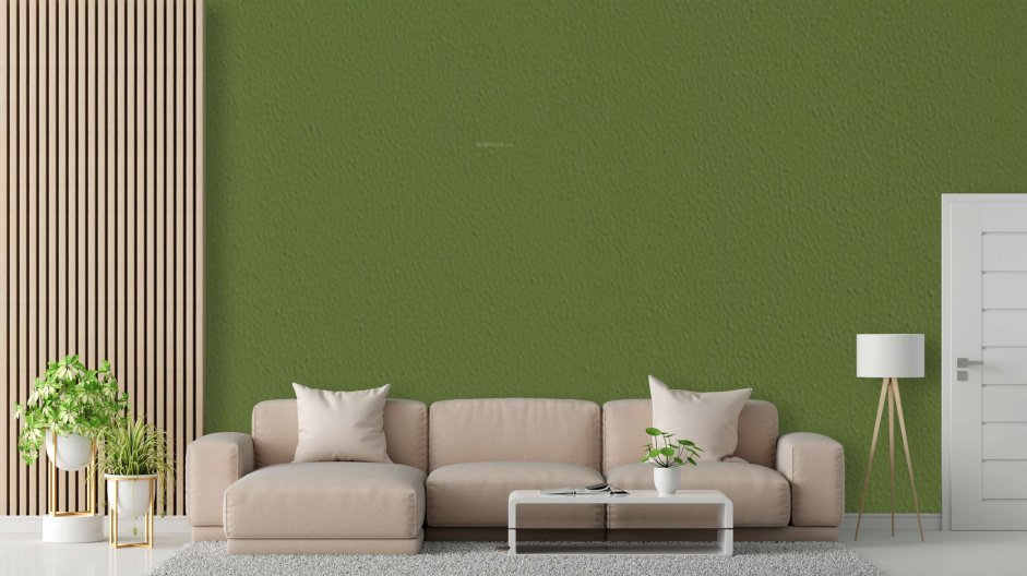  sanskriti Living Area