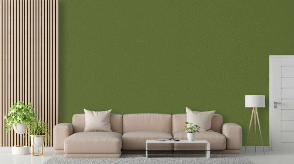 Living Area sanskriti Living Area