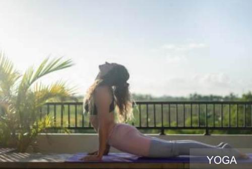  frankfurt-by-r-r-homes Yoga/ Meditation Area