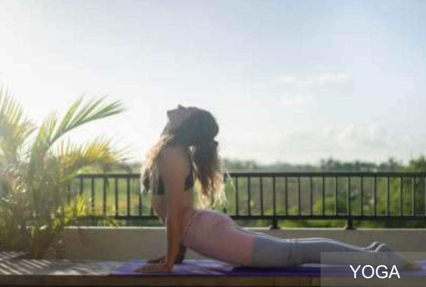  frankfurt by r r homes Yoga/ Meditation Area