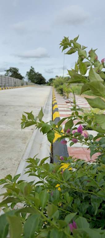  wonder farms Internal Roads & Footpaths