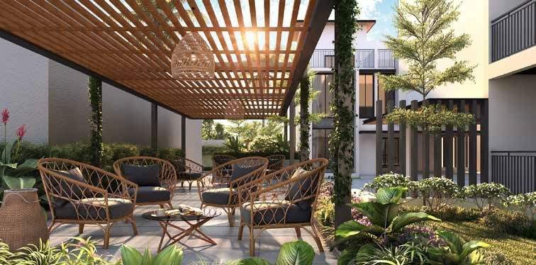  colosseum Senior Citizen Sitout