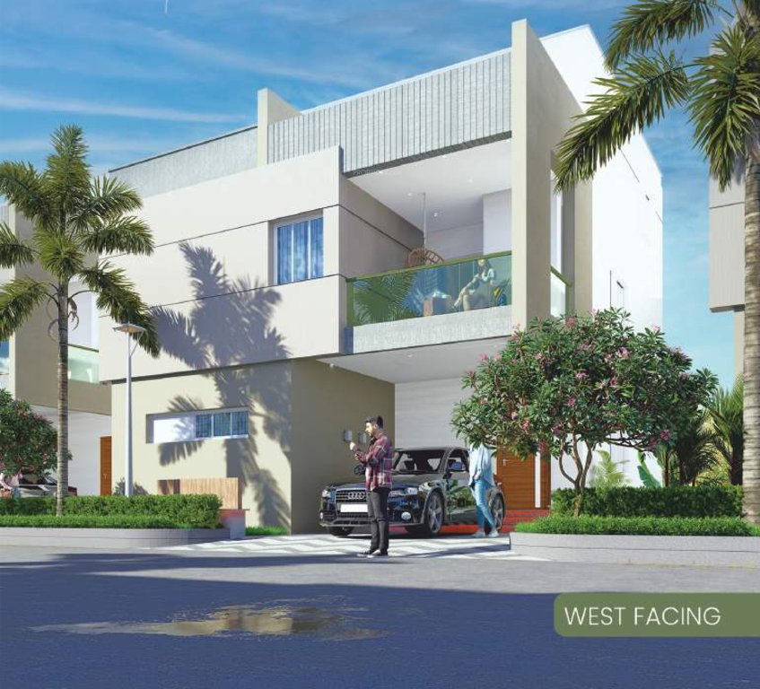  north scape Elevation