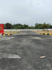 Project Image Project Image