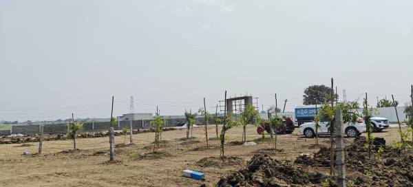  mahalakshmi-s-nandanam Elevation