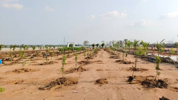  mahalakshmi-s-nandanam Plot