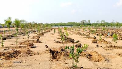  mahalakshmi-s-nandanam Plot