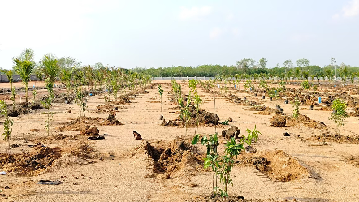  mahalakshmi s nandanam Plot
