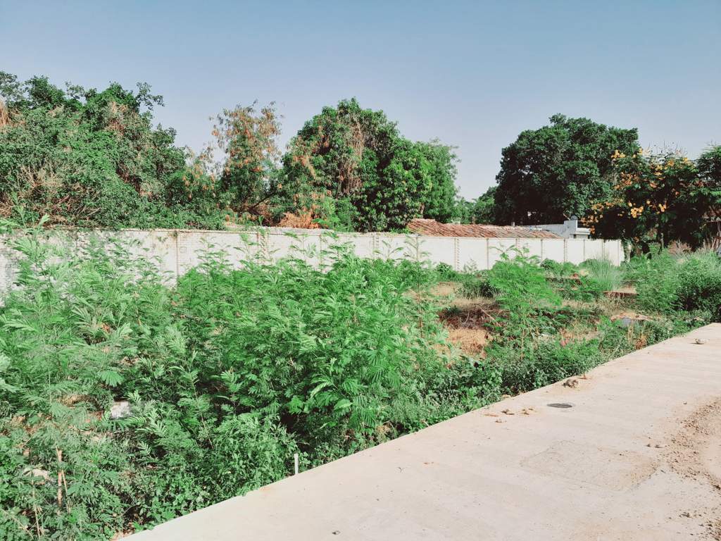  vrindavan vihar Plot