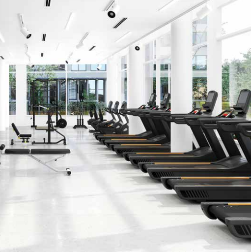 Gymnasium gateway Gymnasium