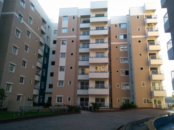  palm-riviera-phase-3 Elevation