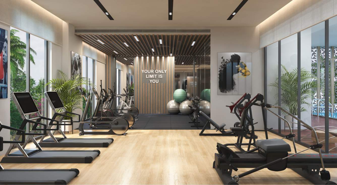  the lake terraces Gymnasium