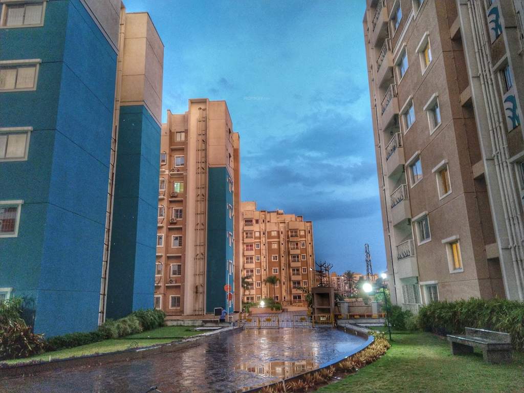  palm riviera phase 2 Paved Compound