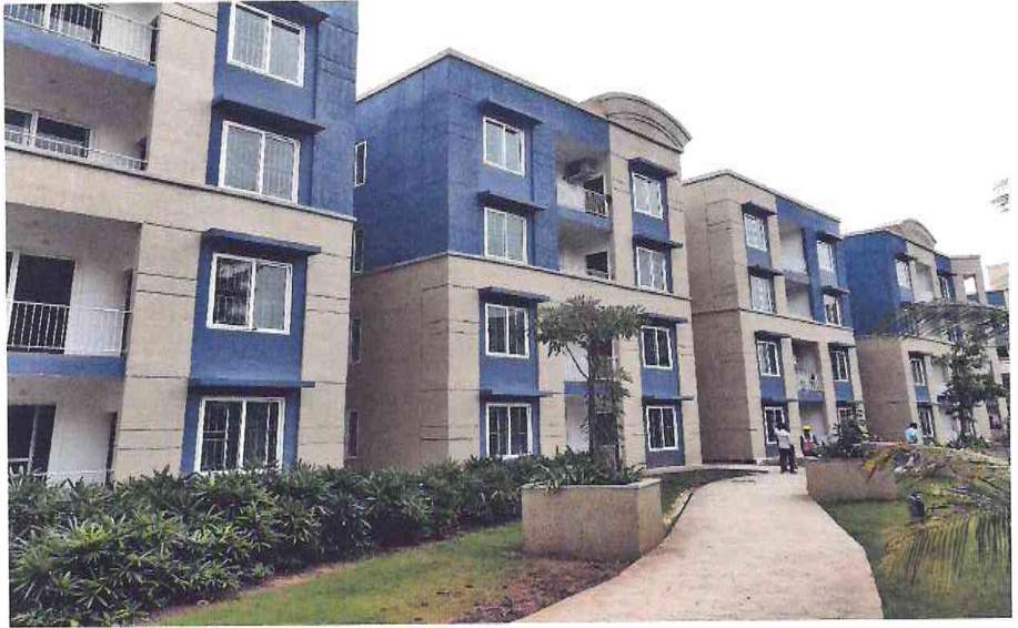  brigade xanadu destino Elevation