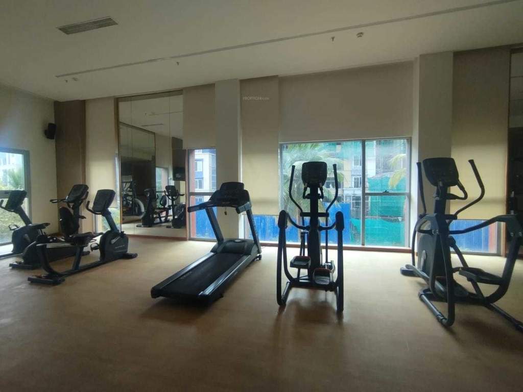  brigade xanadu destino Gymnasium